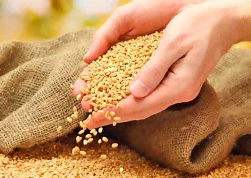 山東華景特種設備檢驗檢測有限公司